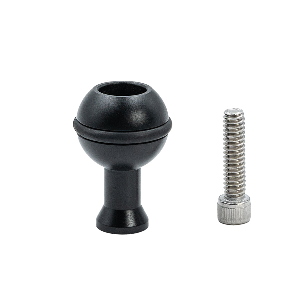 M6 and 1/4" Tread Ball Head