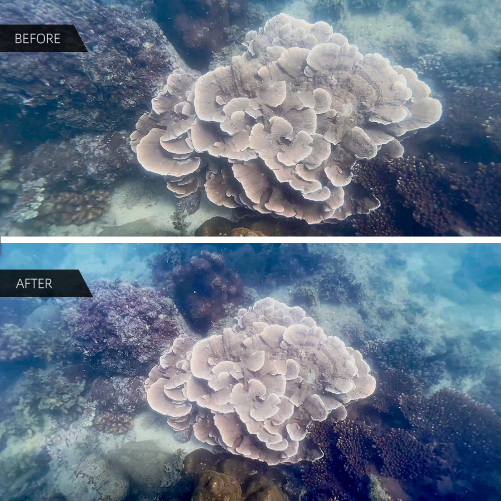Wide-Angle Conversion Lens X0.6